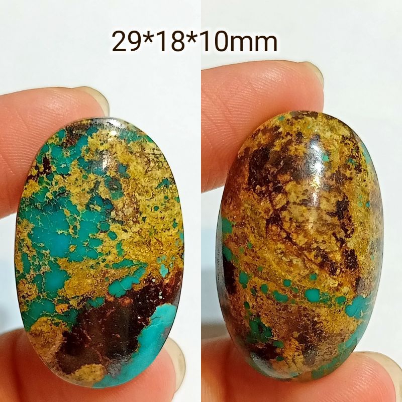 pirus Persia serat emas