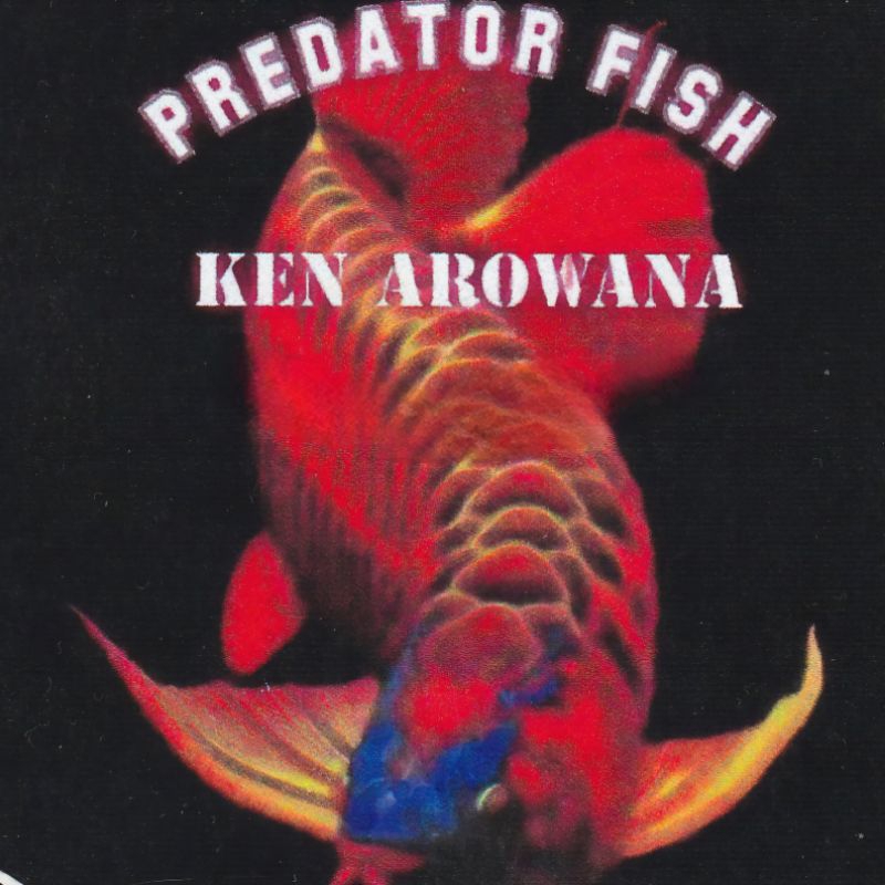 

stiker belida albin0