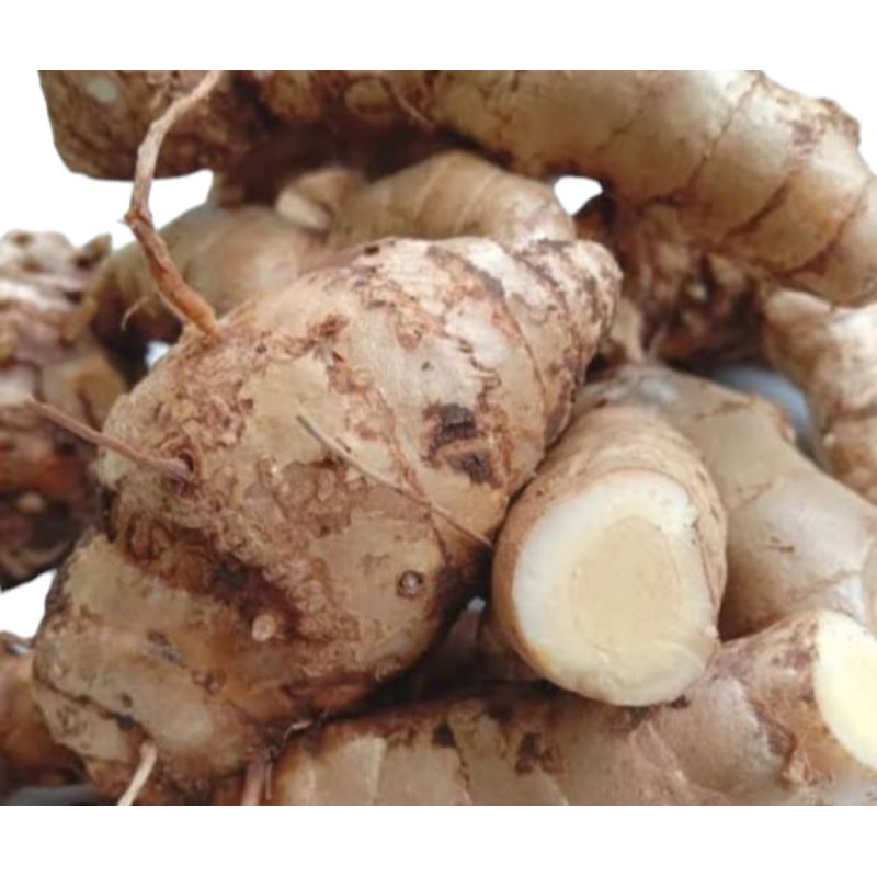 

kunyit putih/temu putih ( Curcuma zedoaria ) 1kg