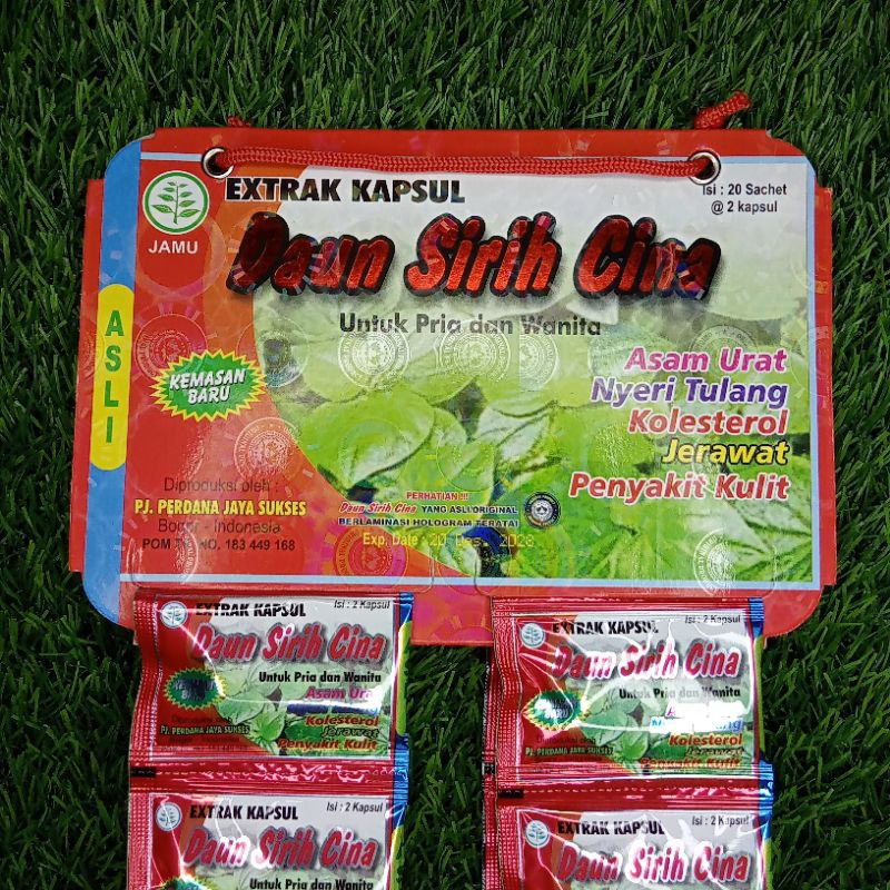 Daun Sirih Cina Kapsul Original
