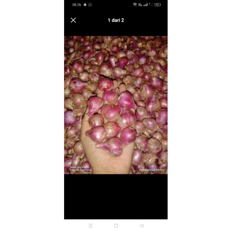 

bawang merah 1 kg