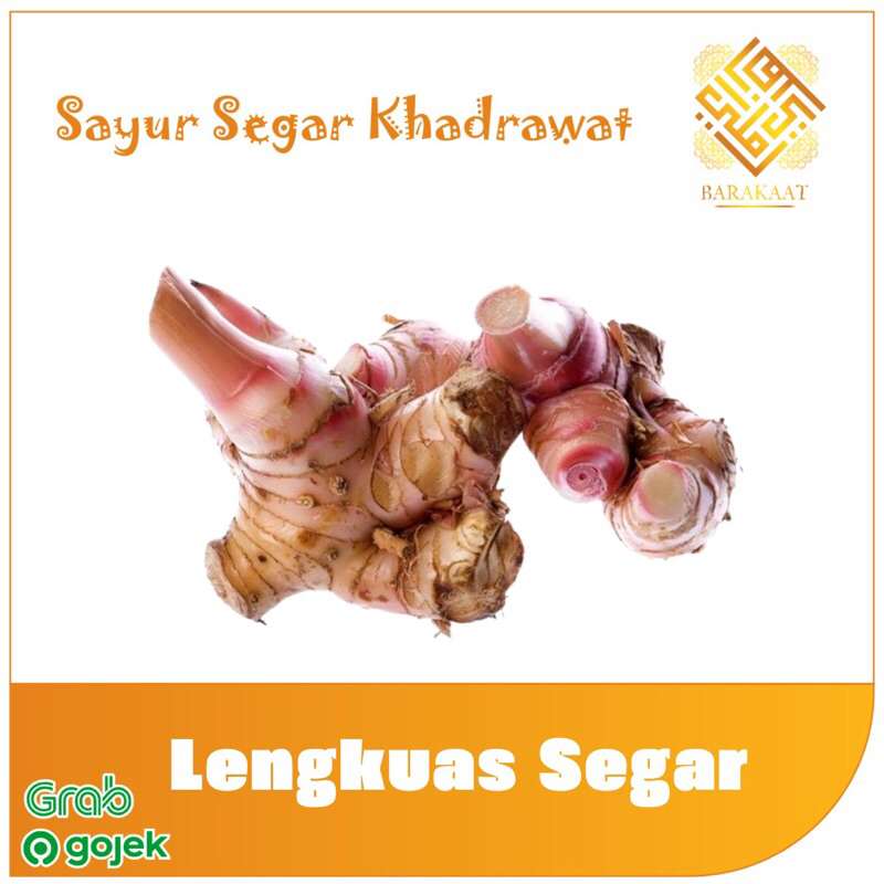 

Lengkuas Segar 250 Gram