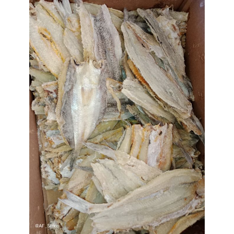 

Ikan Asin Boso / Gabus Laut