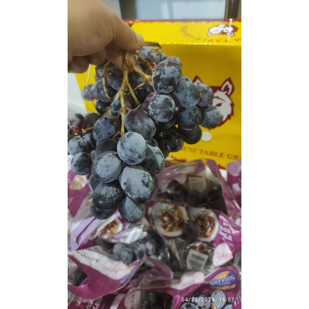 

Anggur Midnight Beauty Ausie per KG