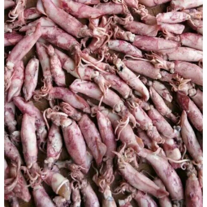 

Cumi Asin 500g/ cumi cumi Asin Best seller