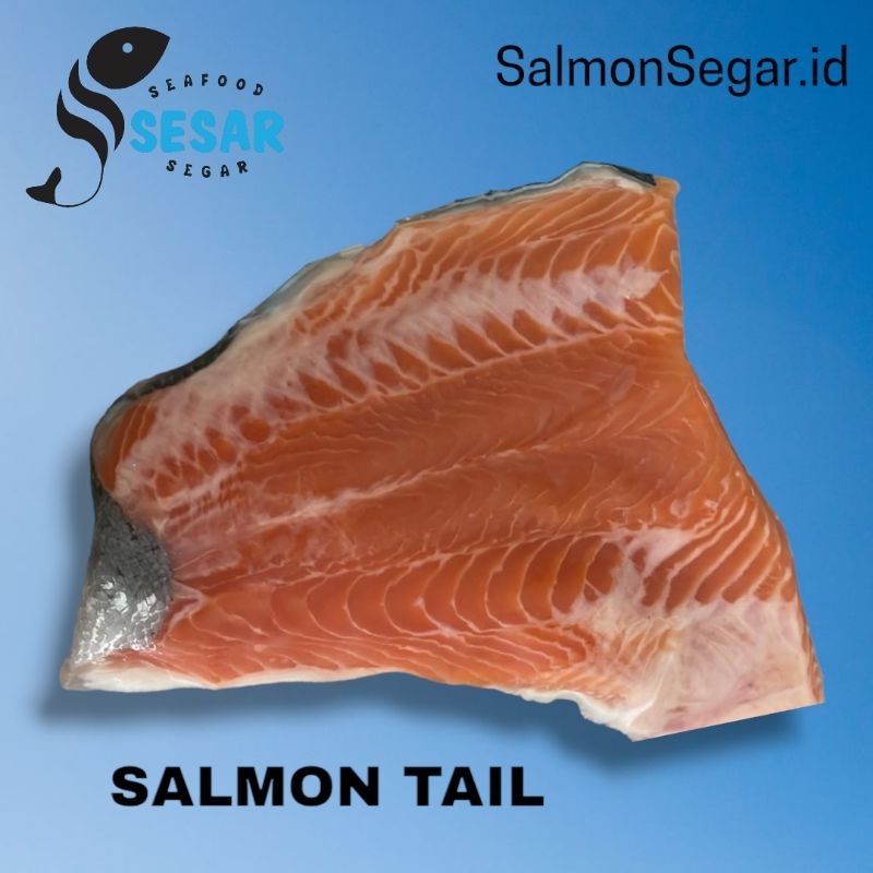 

Salmon Fillet Norwegian - Salmon Norway Sashimi Grade Bagian Ekor