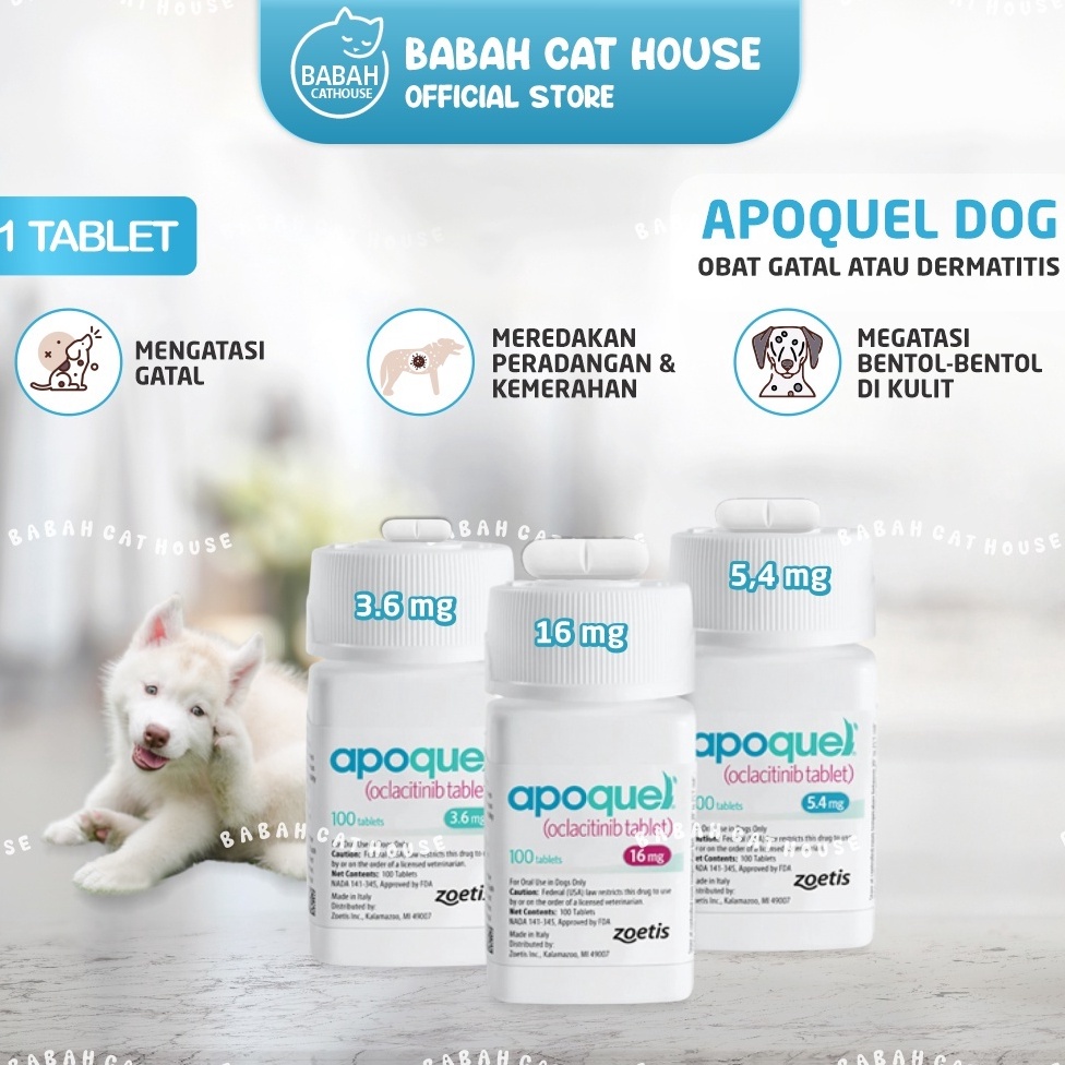 KODE H62X 1 Tablet APOQUEL Obat Anti Gatal Eksim Radang Kulit Anjing Alergi Dewasa Ampuh Demodek Dem