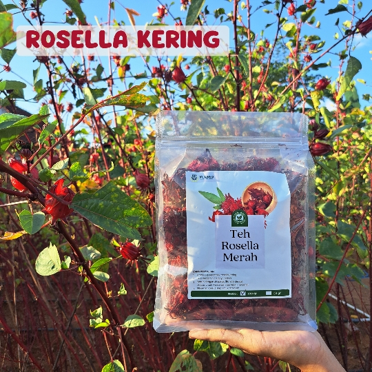 

TEH BUNGA ROSELLA ROSELA MERAH 100 GRAM 50 GRAM KERING GROSIR KUALITAS PREMIUM SUPER ORGANIK