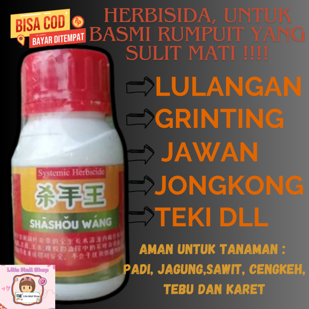 Herbisida Sistemik Selektif Shashou Wang Merah Obat Rumput Khusus Grinting Jawan Lulangan Jongkong