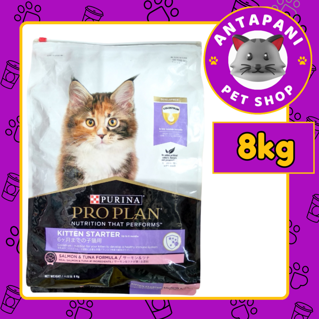 PROPLAN KITTEN STARTER 8 KG EKSPEDISI