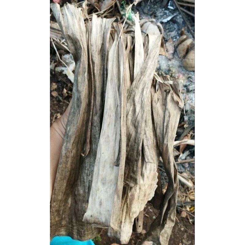 

Daun Pisang Kering Klaras Fire Starter 100 gr