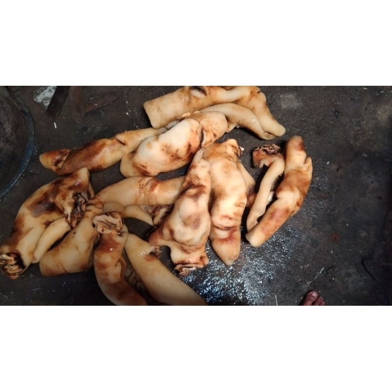 ikan dan cecek