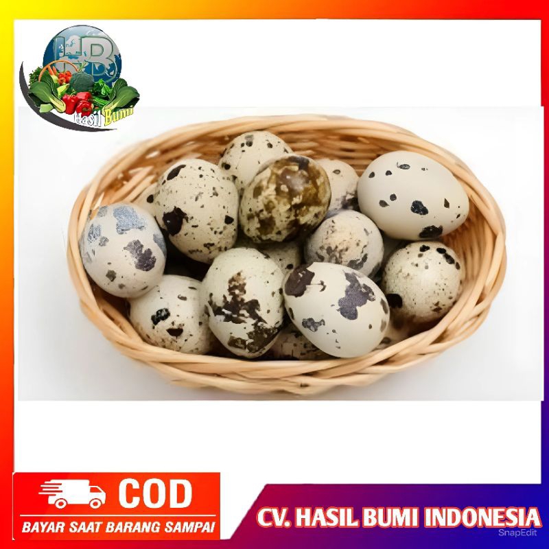 

telur puyuh organik isi 30pc