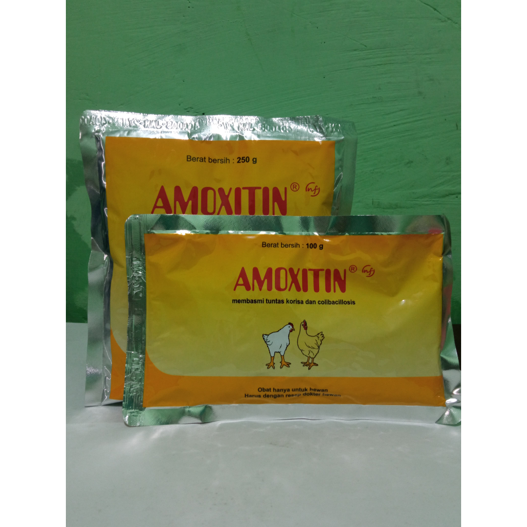 Amoxitin 250 gram MEDION Obat Korisa