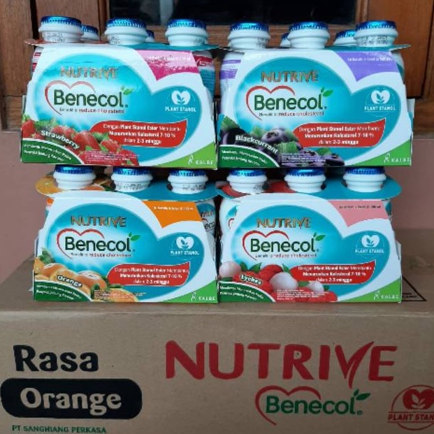 

Super Promo NUTRIVE BENECOL 6X1 ML beli 2 gratis 1 fibershoot