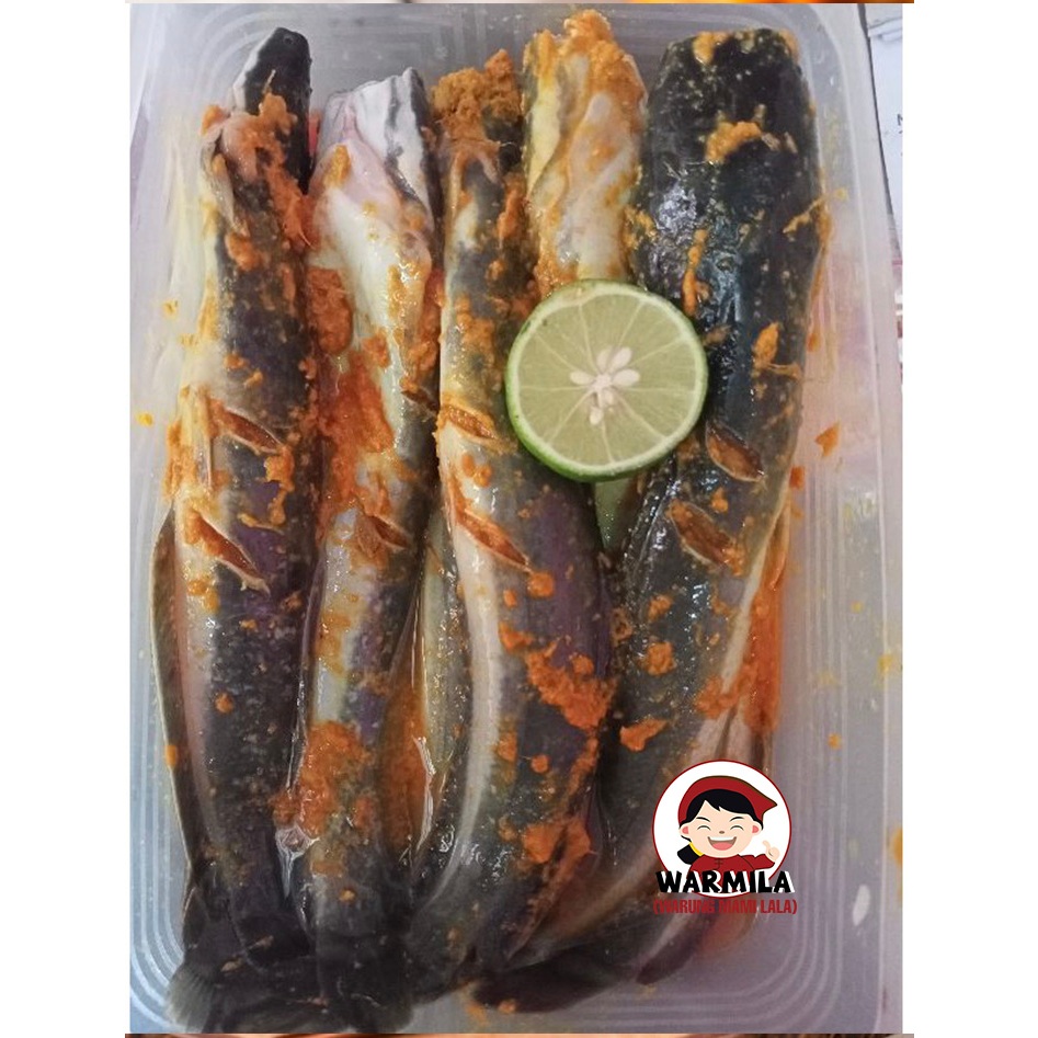 

Lele Ukep Bumbu Kuning Siap Goreng / Bakar isi 8pcs BESAR 1kg