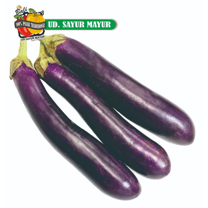 

Eggplant | Terong ungu 250gram