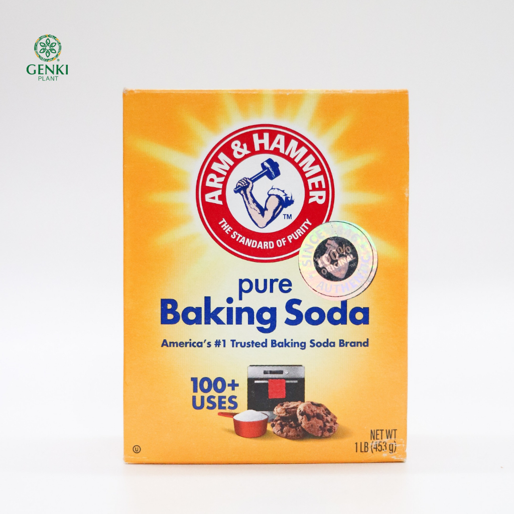 

Arm & Hammer Pure Baking Soda - 453 g