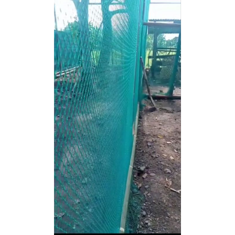 jaring pagar ayam ukuran 2x20meter lubang 1inc (bekas nelayan)