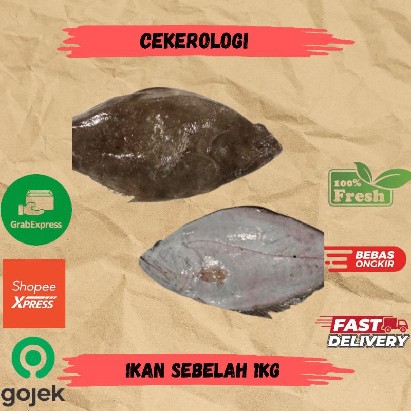 

Ikan Sebelah 1kg / Ikan Sebelah / Ikan Sebelah Fresh Berkualitas/ Ikan Segar / Ikan