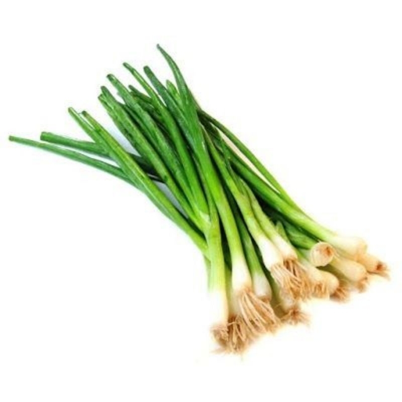 

DAUN BAWANG + SELEDRI