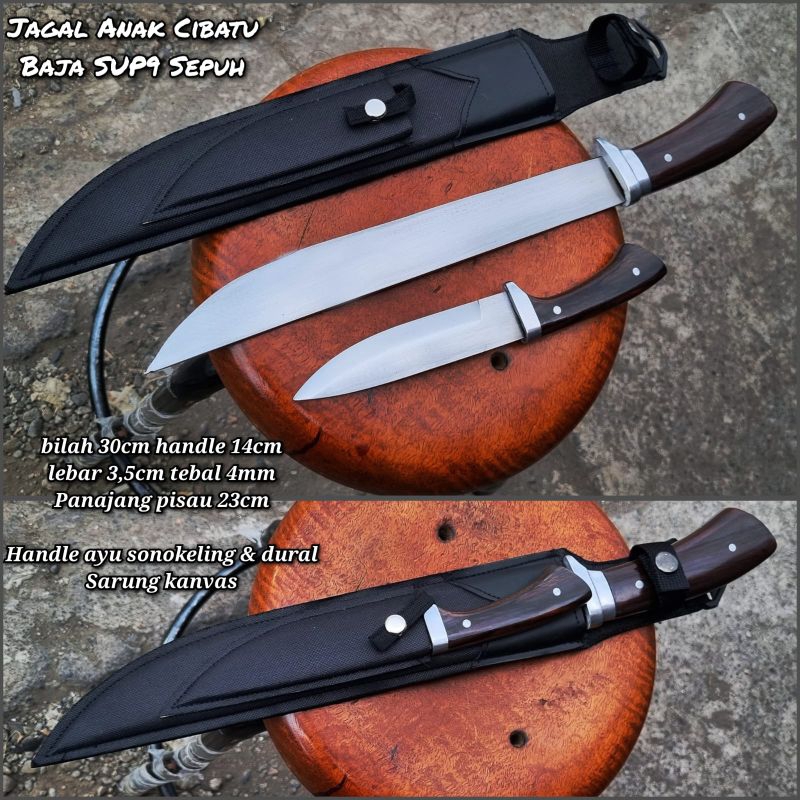 golsem anakan cibatu SUP9 sepuh