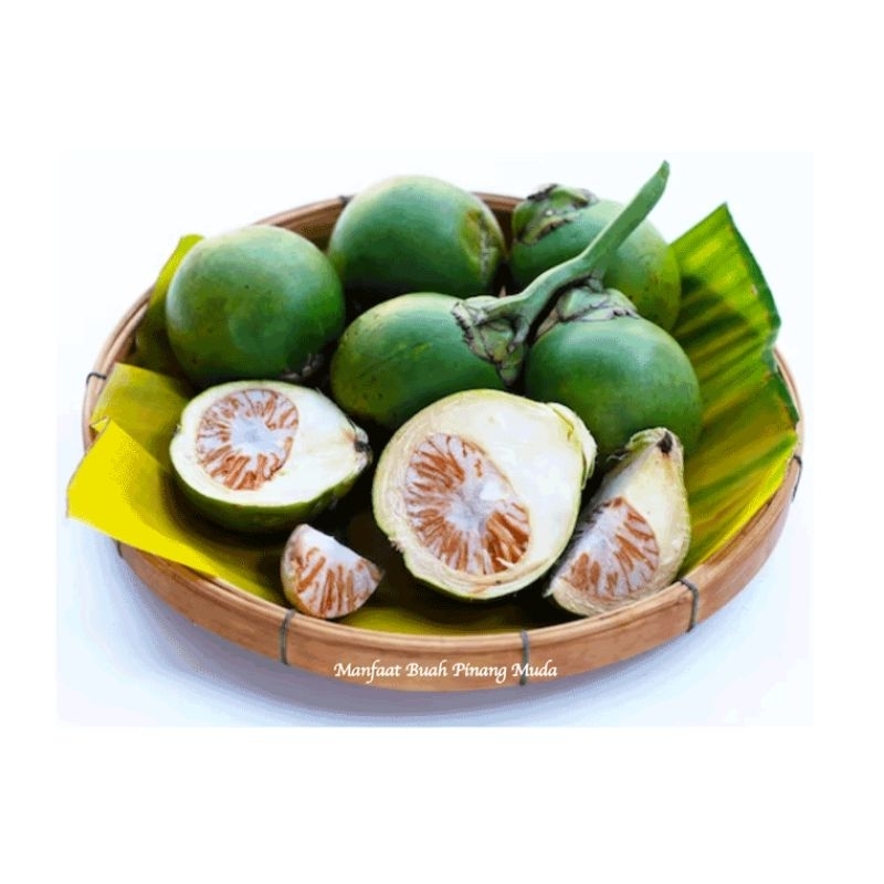 

buah pinang muda dari propinsi jambi