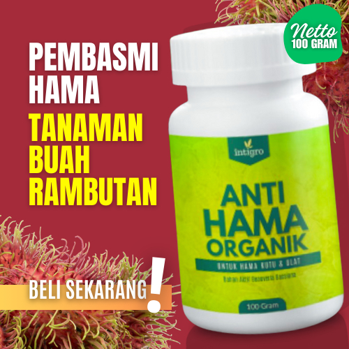 Obat Pembasmi Hama Buah Rambutan Pengendali Kutu Putih Ulat Penggerek Busuk Lalat Buah Rambutan