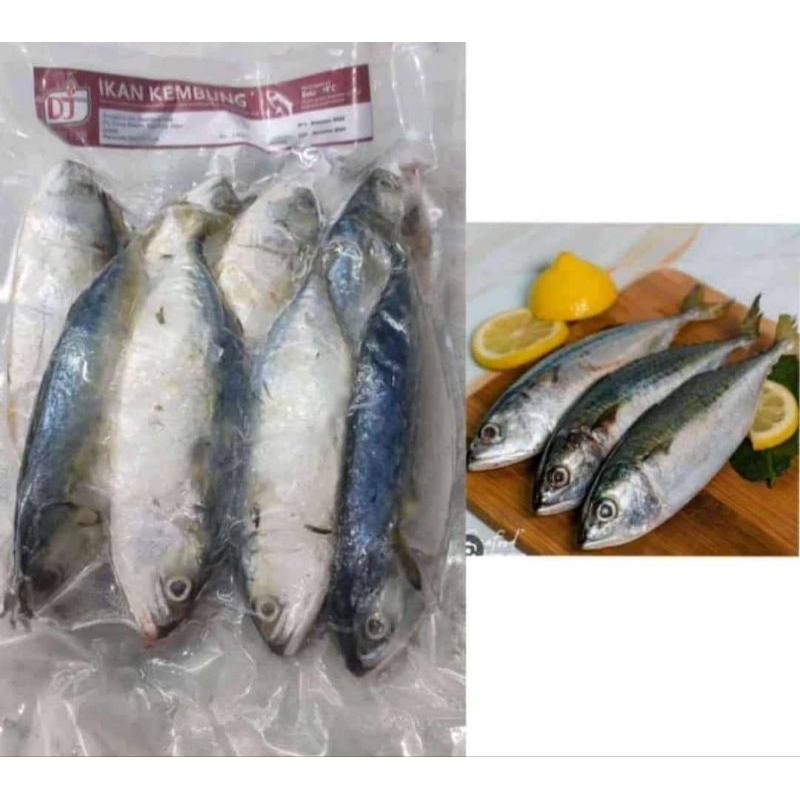 

Ikan Kembung Frozen Uk 1Kg