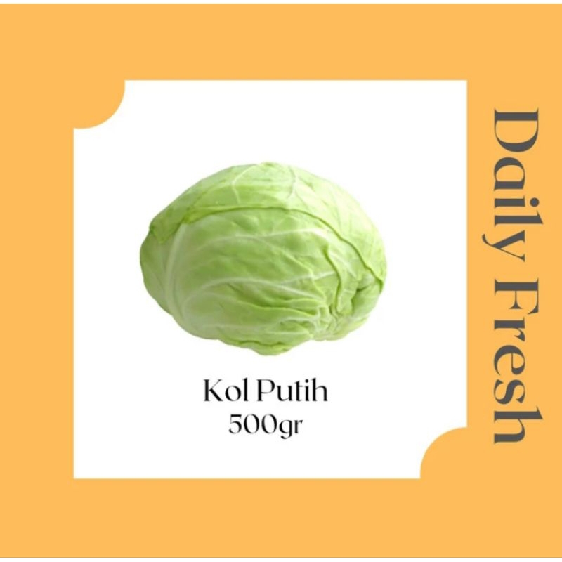 

Sayur Kubis kol putih