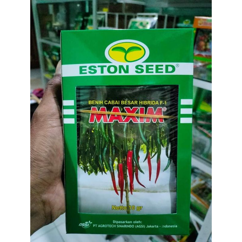 benih cabai besar MAXIM F1 produk original by eston seed