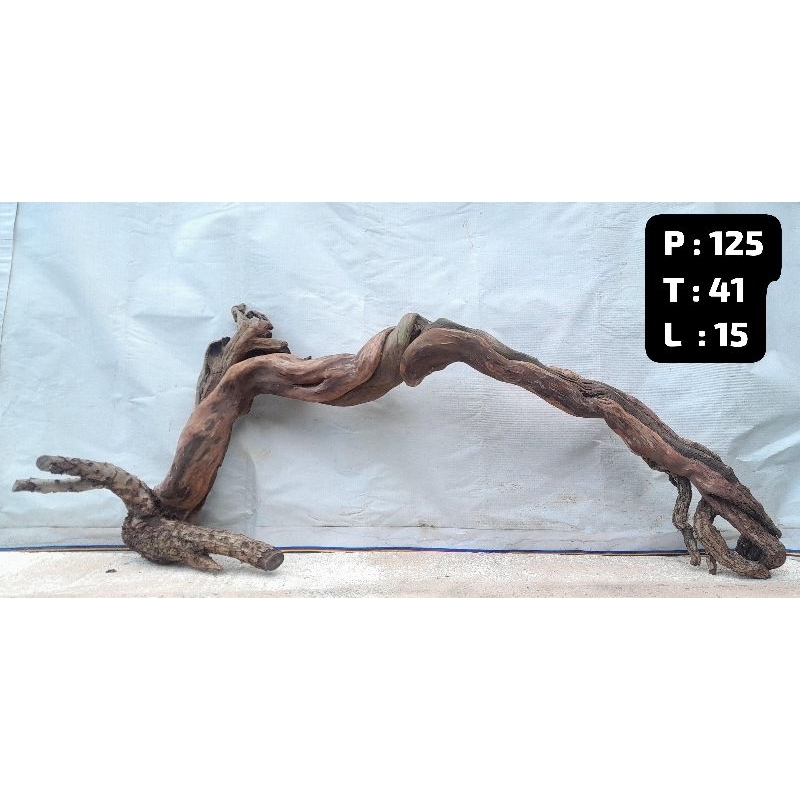 Kayu Aquascape - Kayu Santigi (Besar)