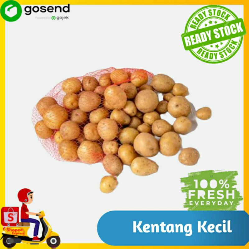 

Kentang Kecil
