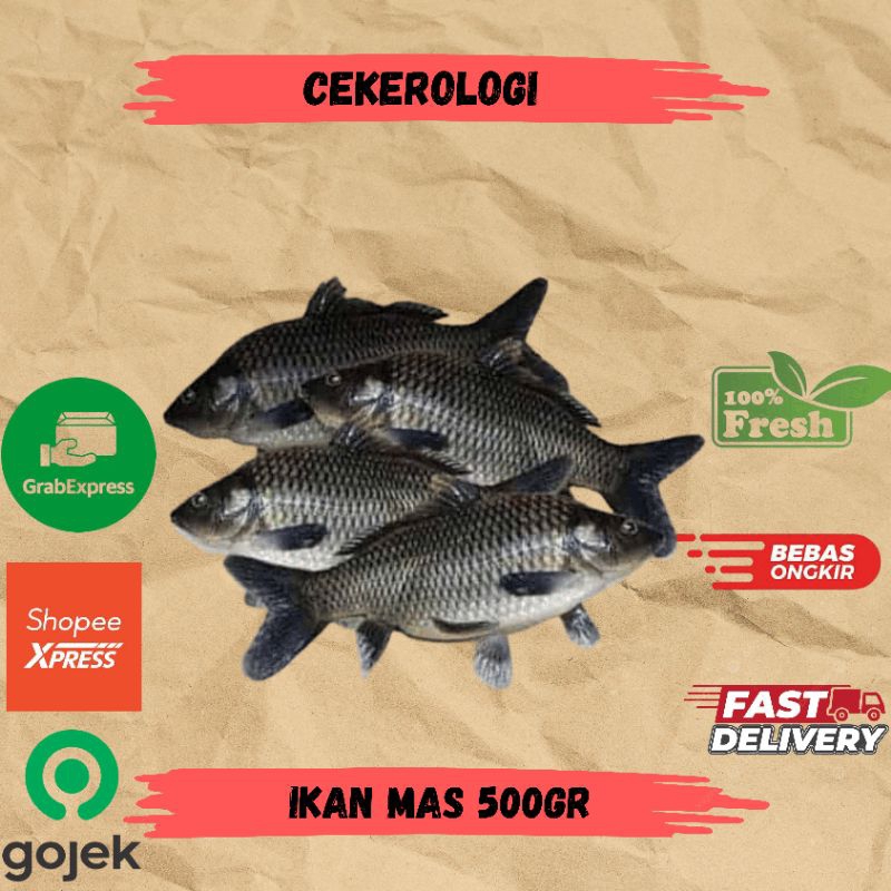 

Ikan Mas 500gr / Ikan Mas / Ikan Mas Fresh Berkualitas / JABODETABEK / Ikan Segar / I Ikan