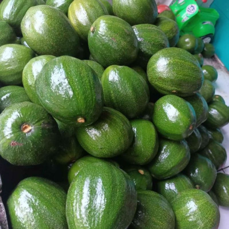 

buah alpokat jumbo 1kg