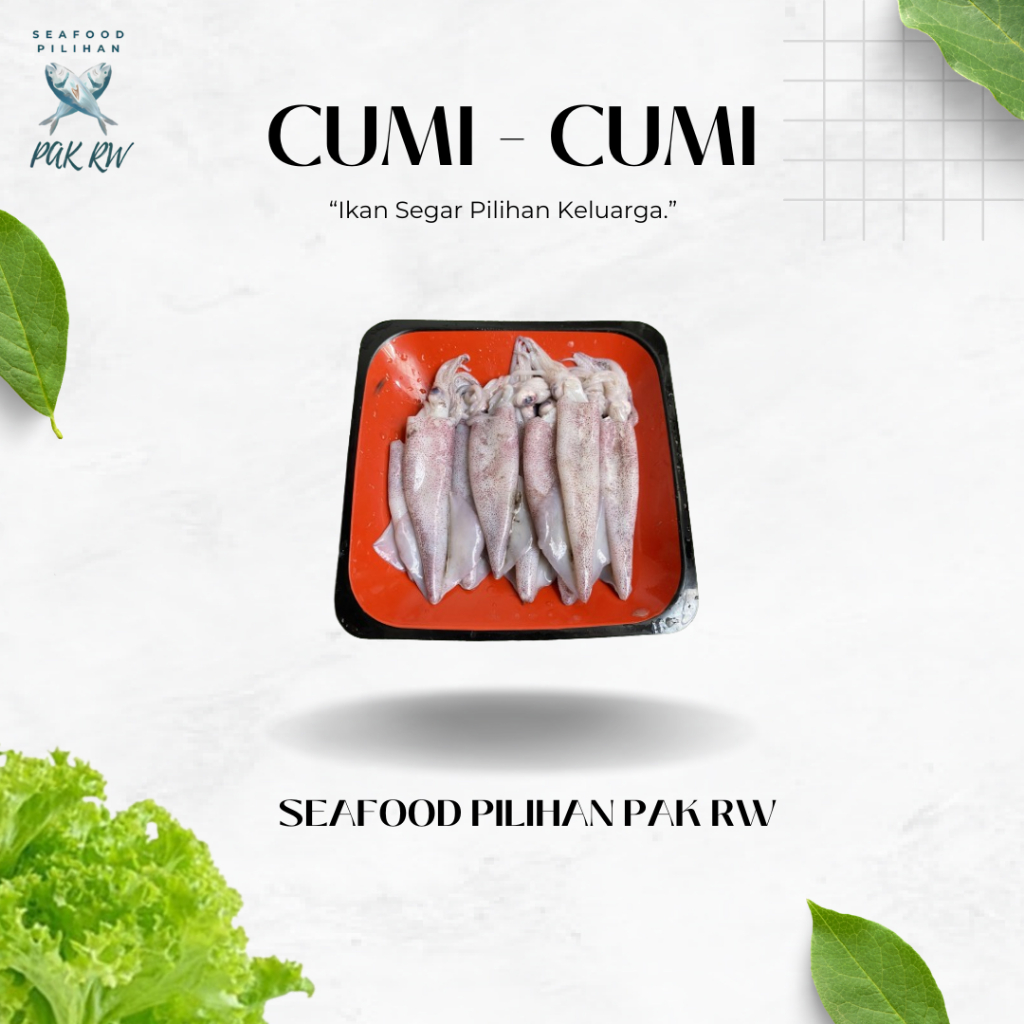 

Cumi - Cumi