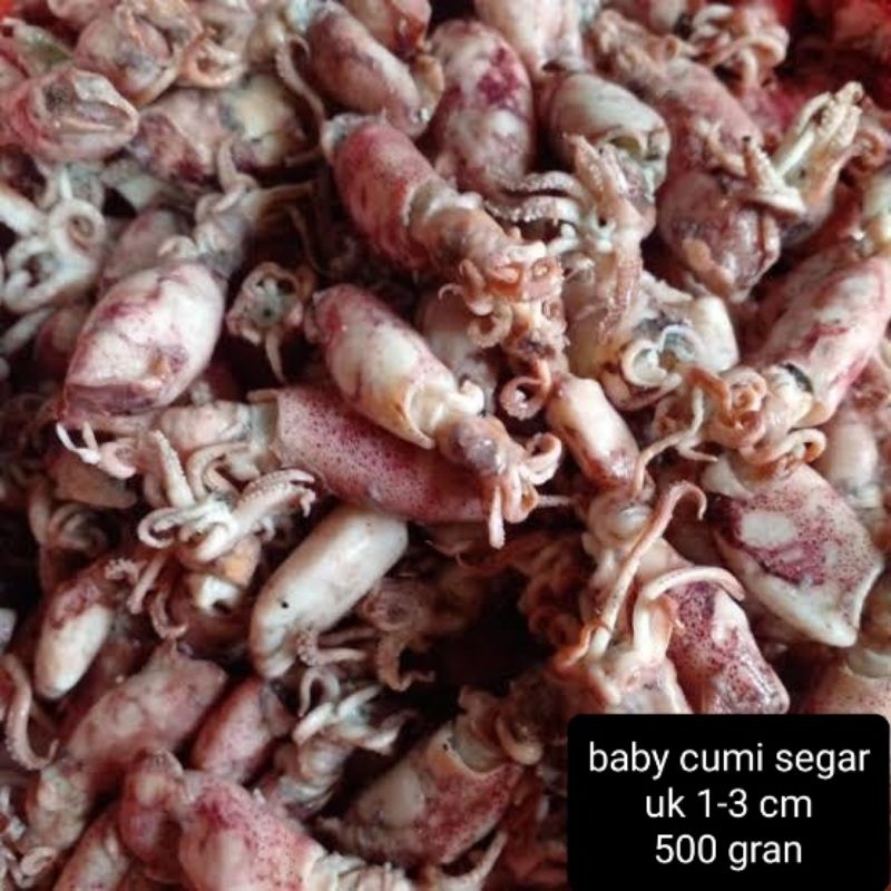 

cumi asin rebus size baby 500 gram