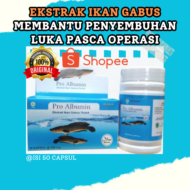 HERBAL PIL ekstrak ikan gabus MEMBANTU PENYEMBUHAN LUKA CESAR