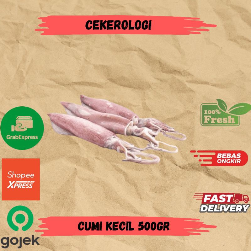 

Cumi Kecil 500gr / Cumi Kecil / Cumi / Cumi Kecil Fresh Berkualitas / JABODETABEK / Seafood Segar / Seafood