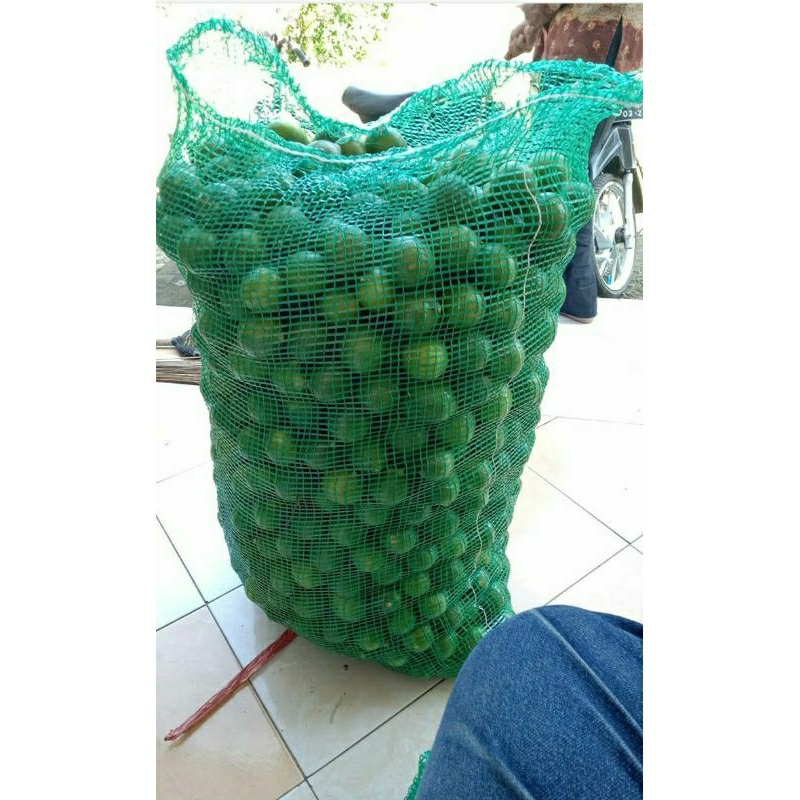 

jeruk nipis segar 1 kg