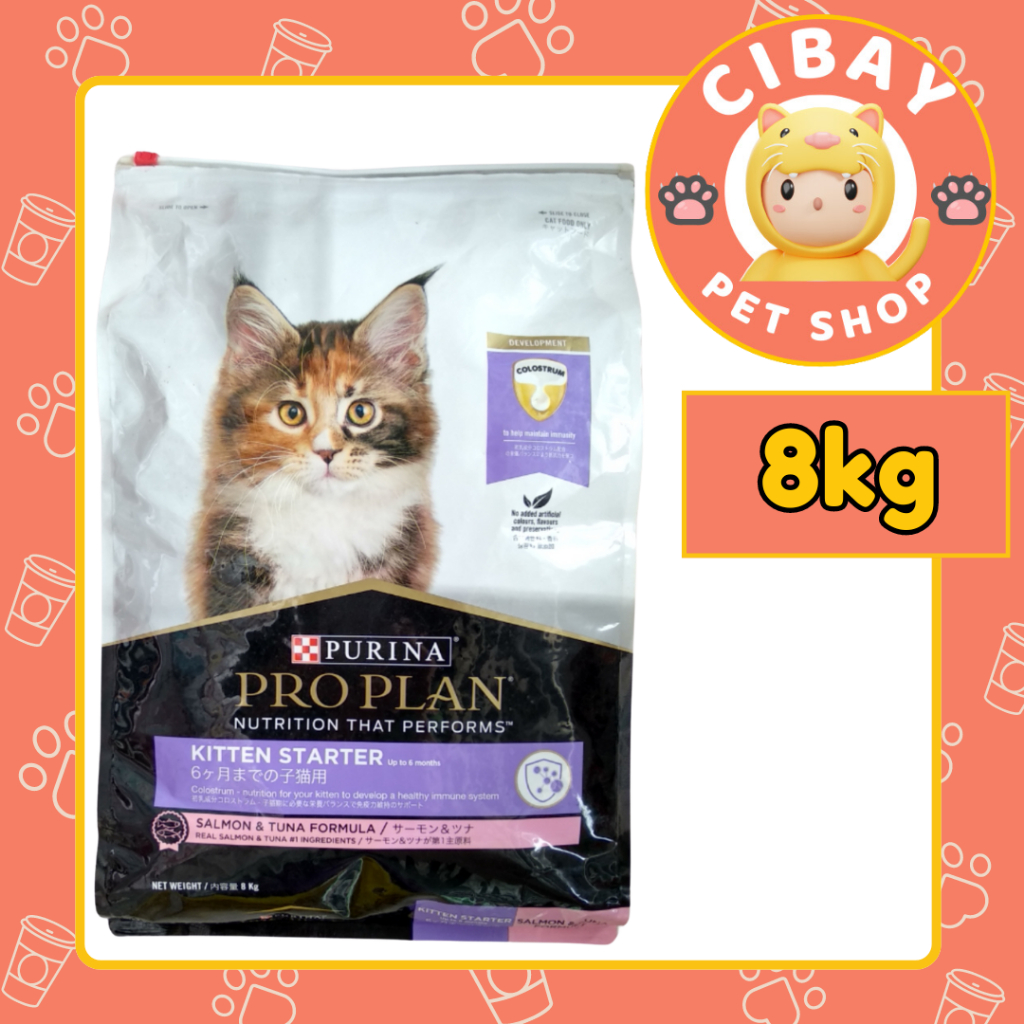 PROPLAN KITTEN STARTER 8 KG EKSPEDISI