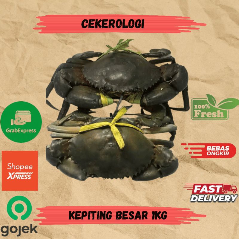 

Kepiting Besar 1kg / Kepiting Besar / Kepiting / Kepiting Besar Fresh Berkualitas / JABODETABEK / Seafood Segar / Seafood