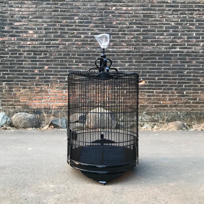 sangkar burung kandang burung murai