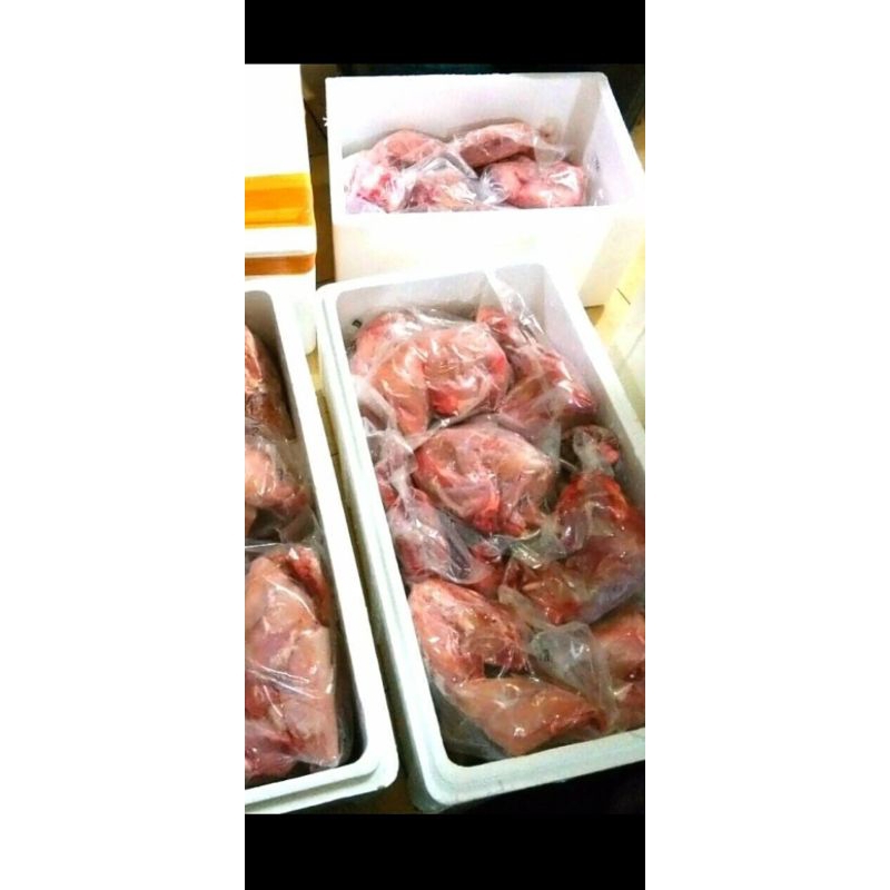 Daging karkas kelinci 1 kg