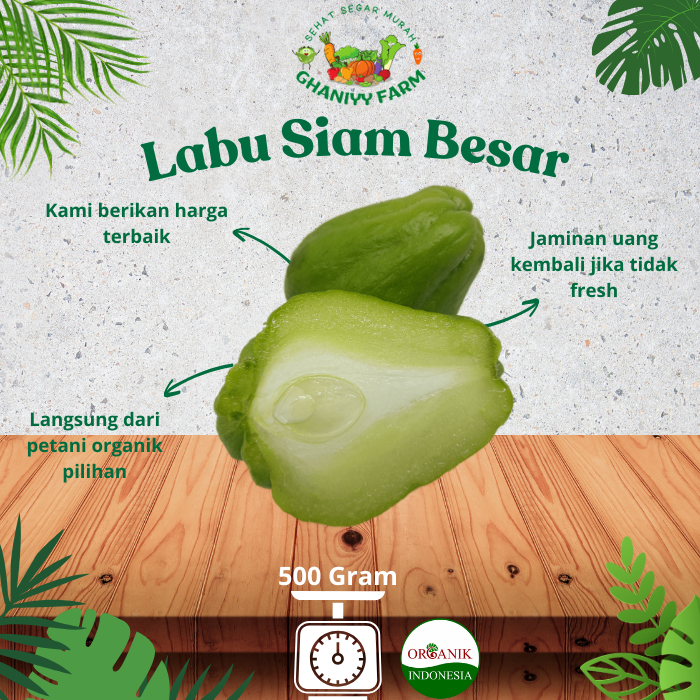 

Sayur Organik Labu Siam Besar Organik 500 Gram