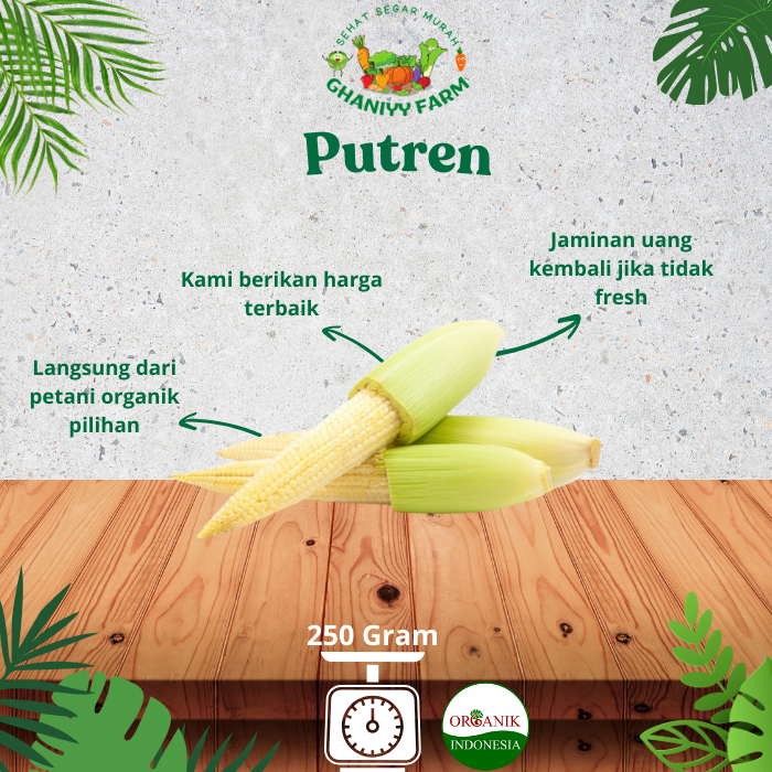 

Sayur Organik Jagung Muda Organik 250 Gram