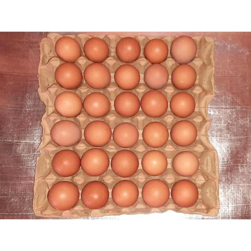 

TELUR AYAM GRADE A / 1 TRAY (30 BUTIR)