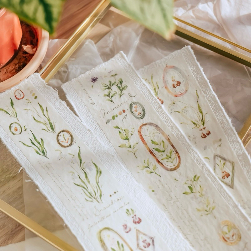 

Meow Illustration Washi and PET Tape