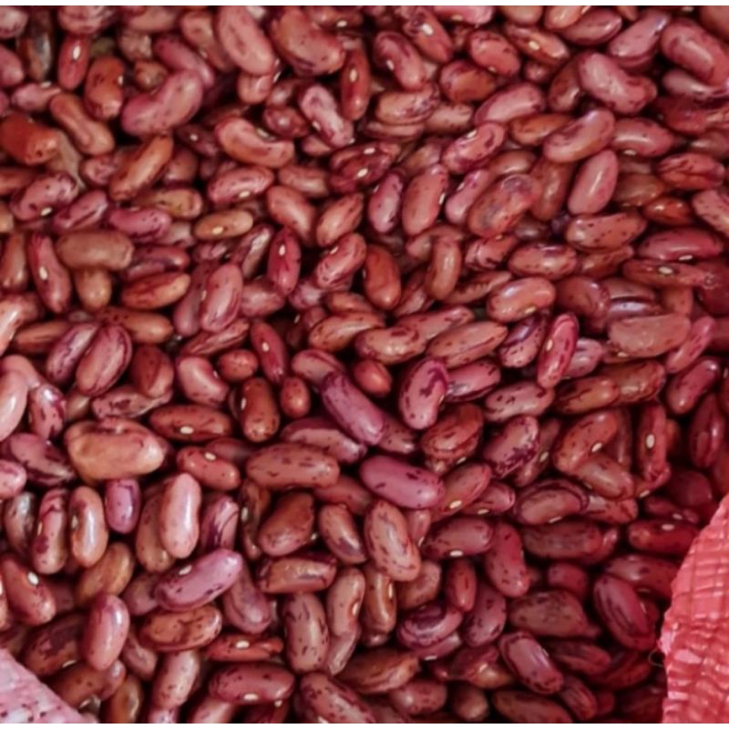 

[PALEMBANG] KACANG MERAH 250GR - SAYUR BUAH IKAN SEGAR ONLINE