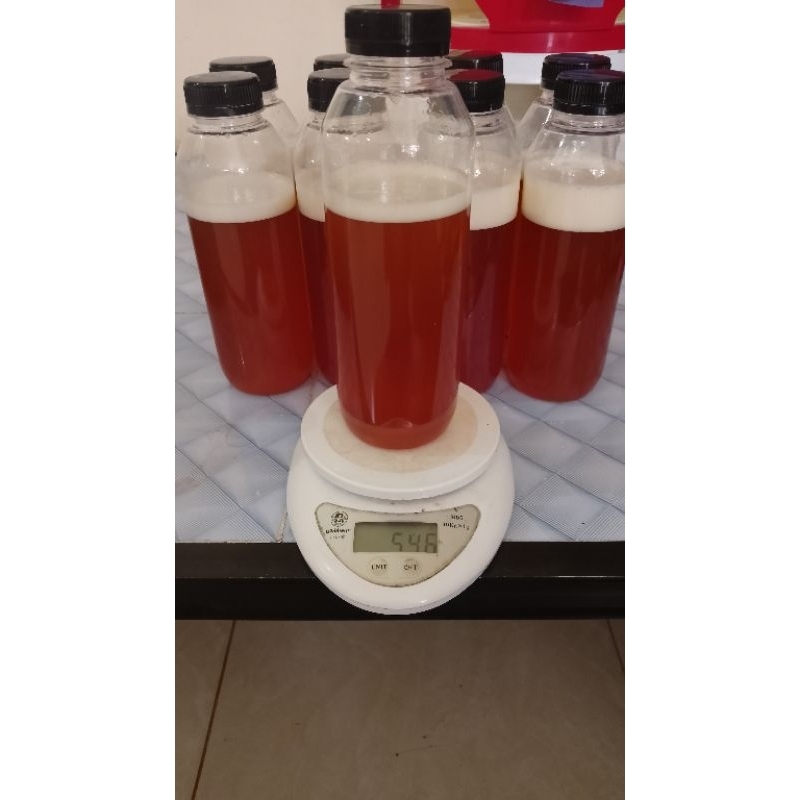 

Madu Hutan Asli 100% Kapuas Hulu